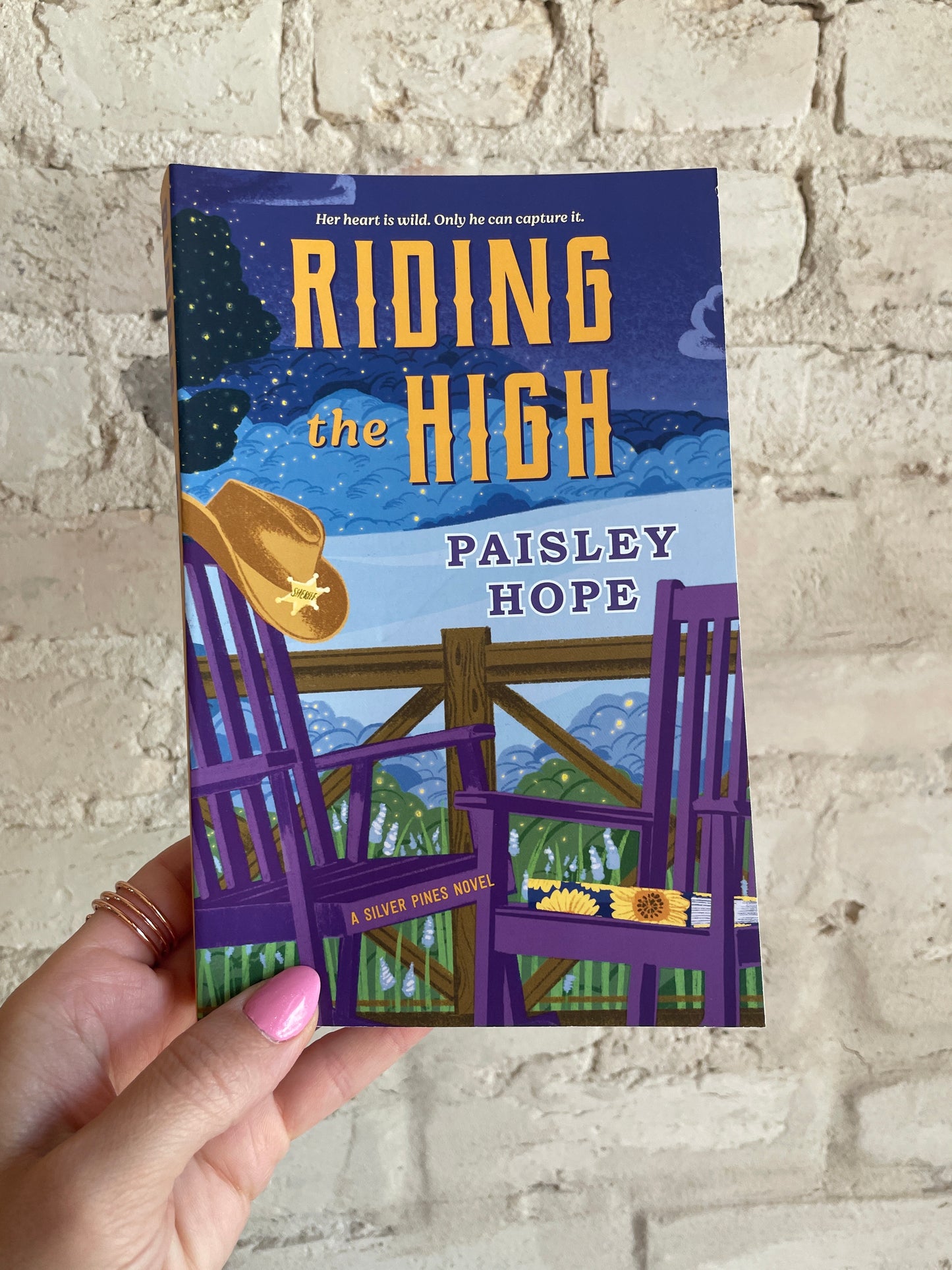 Riding the High by Paisley Hope (Book 3)