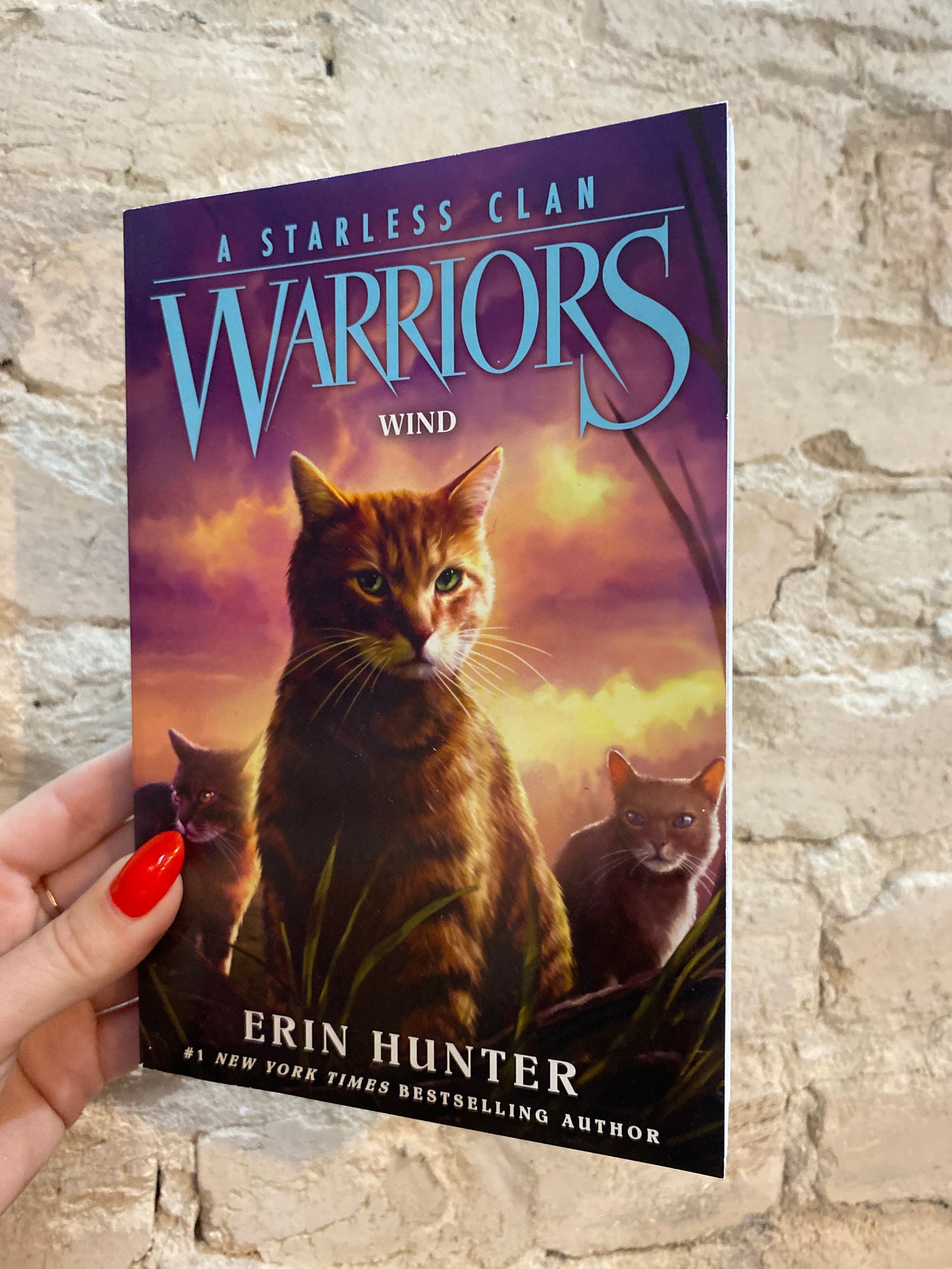 Warriors - A Starless Clan: Wind (Book 5) by Erin Hunter