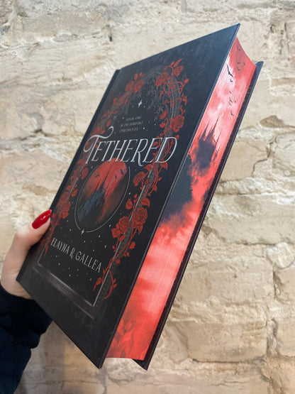 Tethered by Elayna R. Gallea (Book 1)