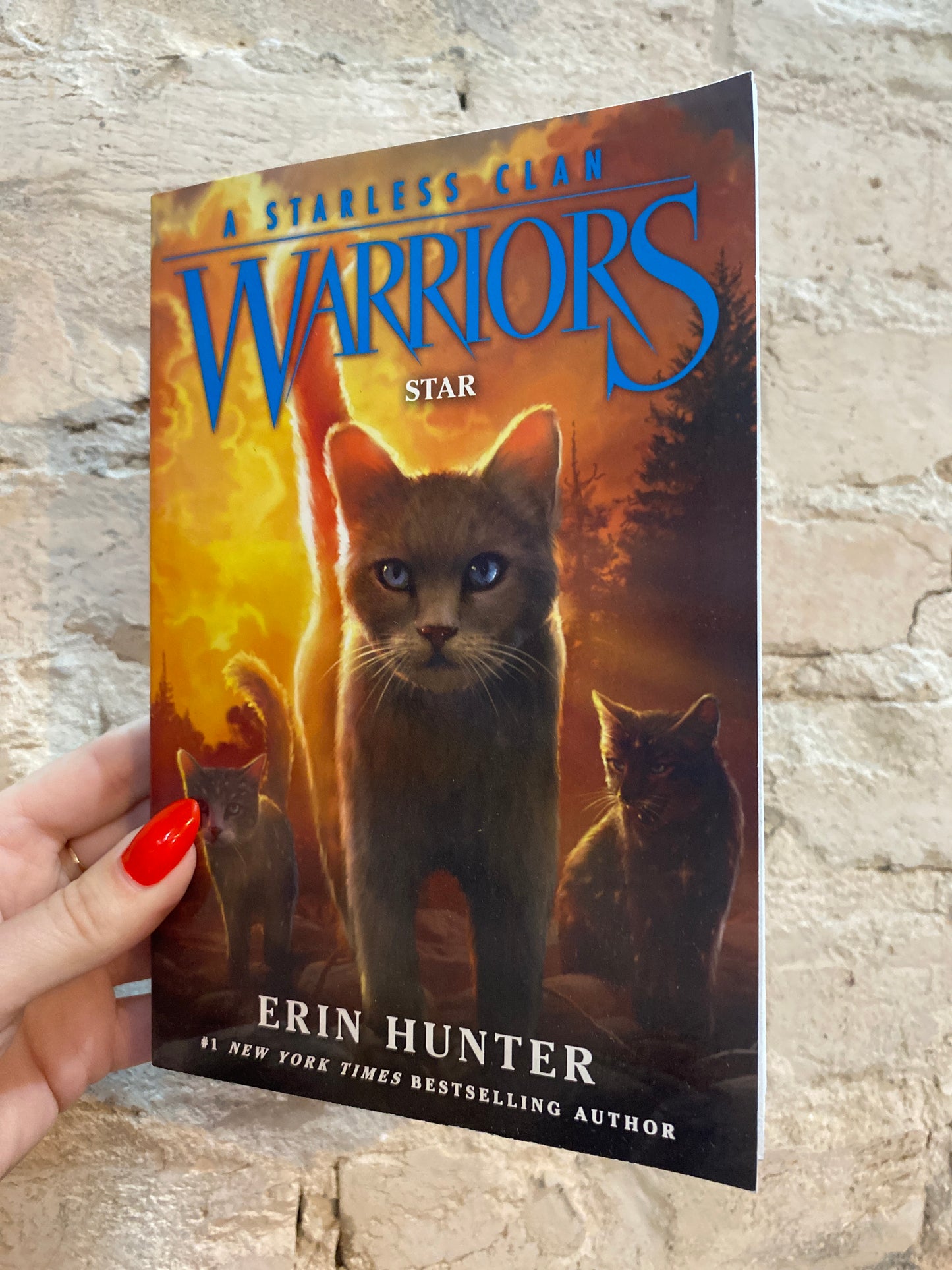 Warriors - A Starless Clan: Star (Book 6) by Erin Hunter