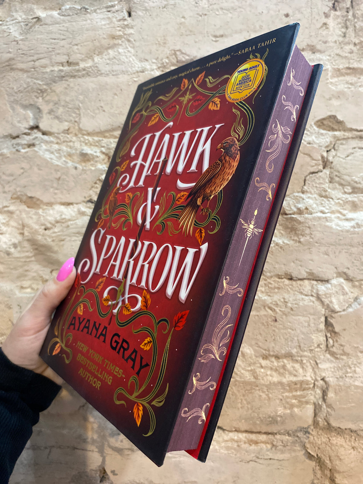 Hawk & Sparrow by Ayana Gray