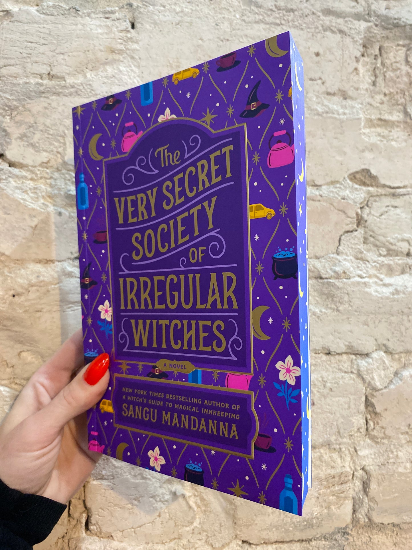 The Very Secret Society of Irregular Witches by Sangu Mandanna