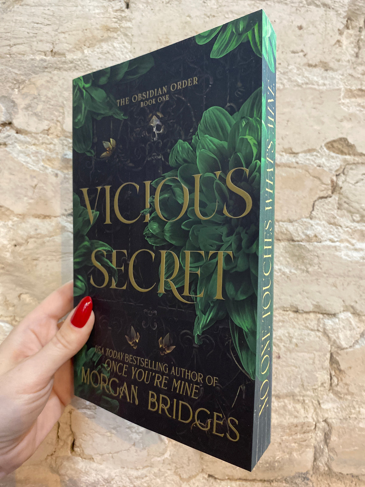 Vicious Secret by Morgan Bridges (The Obsidian Order: Book 1)