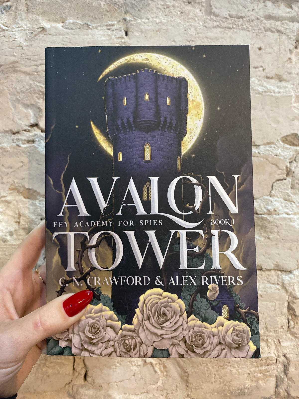 Avalon Tower by C.N. Crawford and Alex Rivers (SIGNED w/ Swag) (Book 1) *PREORDER*