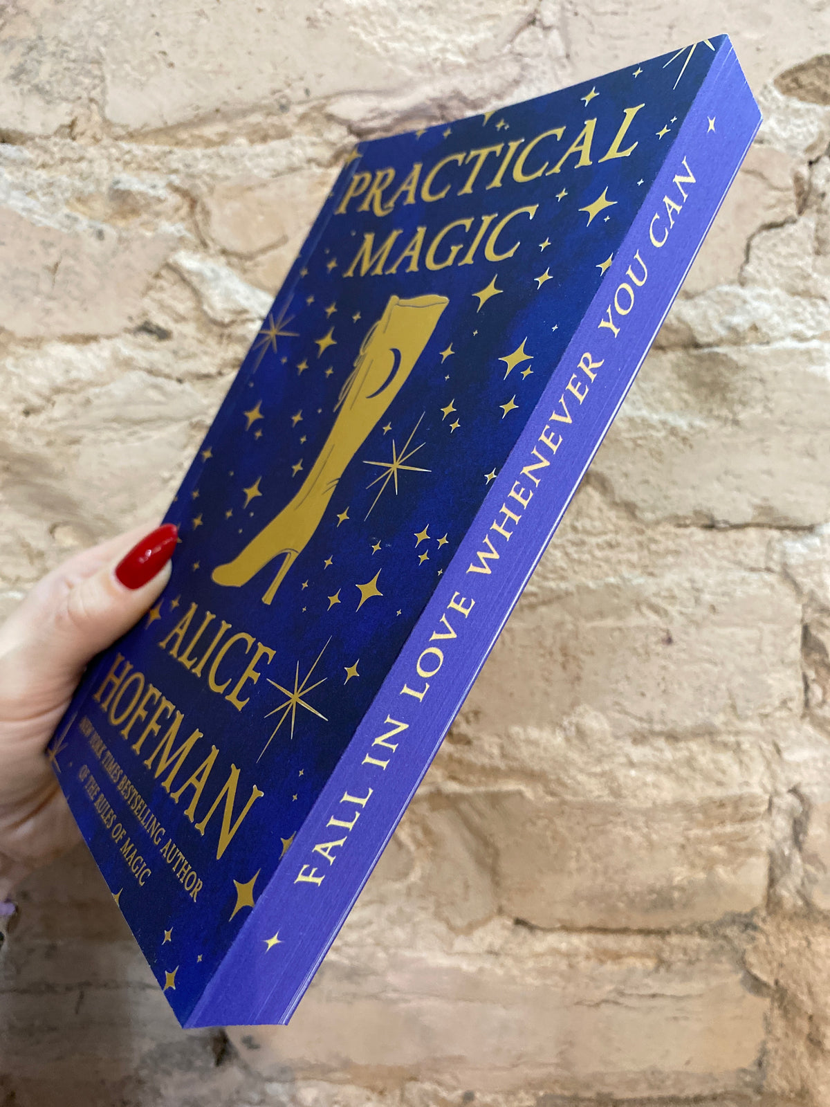Practical Magic by Alice Hoffman (Book 1)
