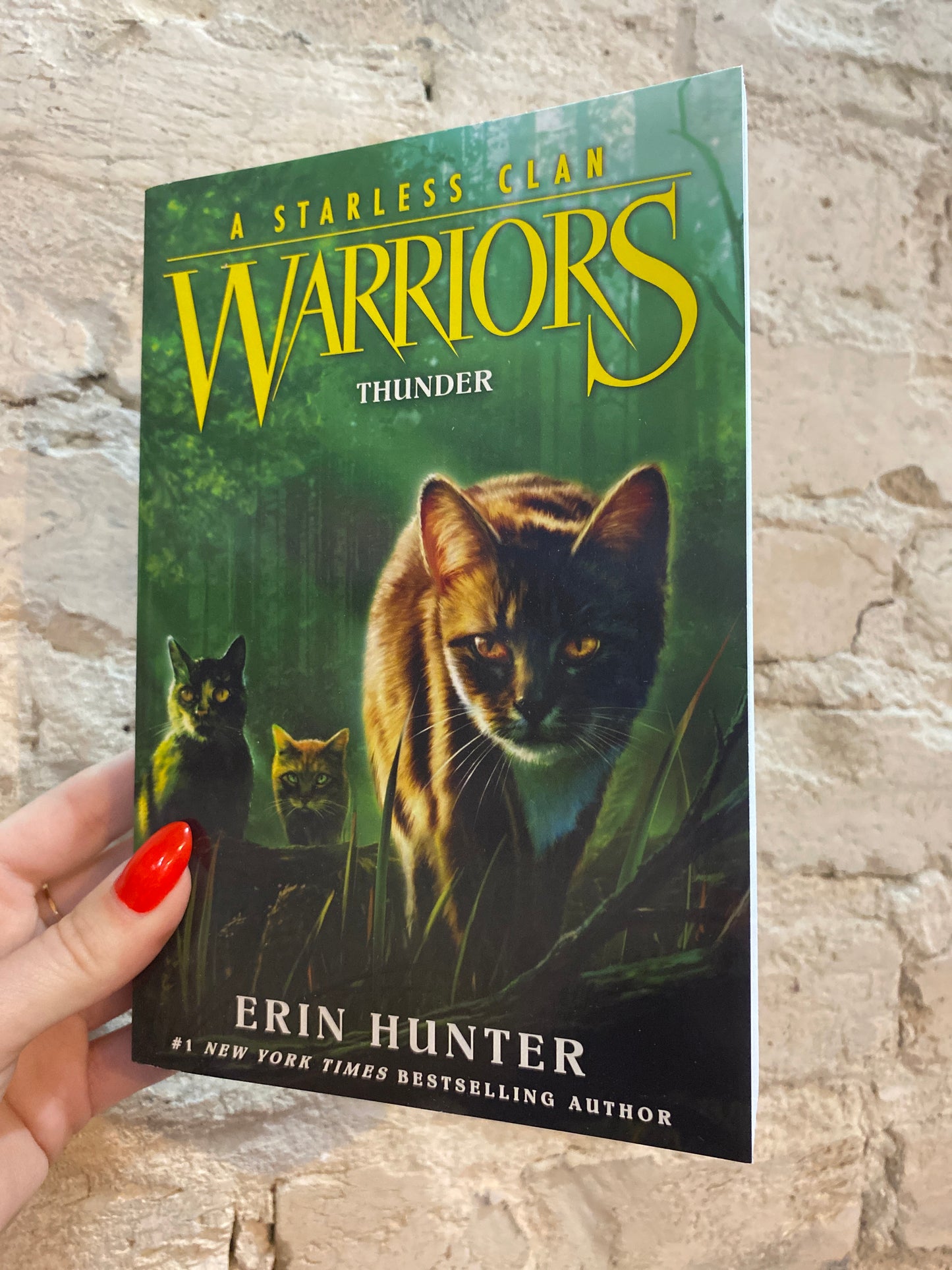 Warriors - A Starless Clan: Thunder (Book 4) by Erin Hunter
