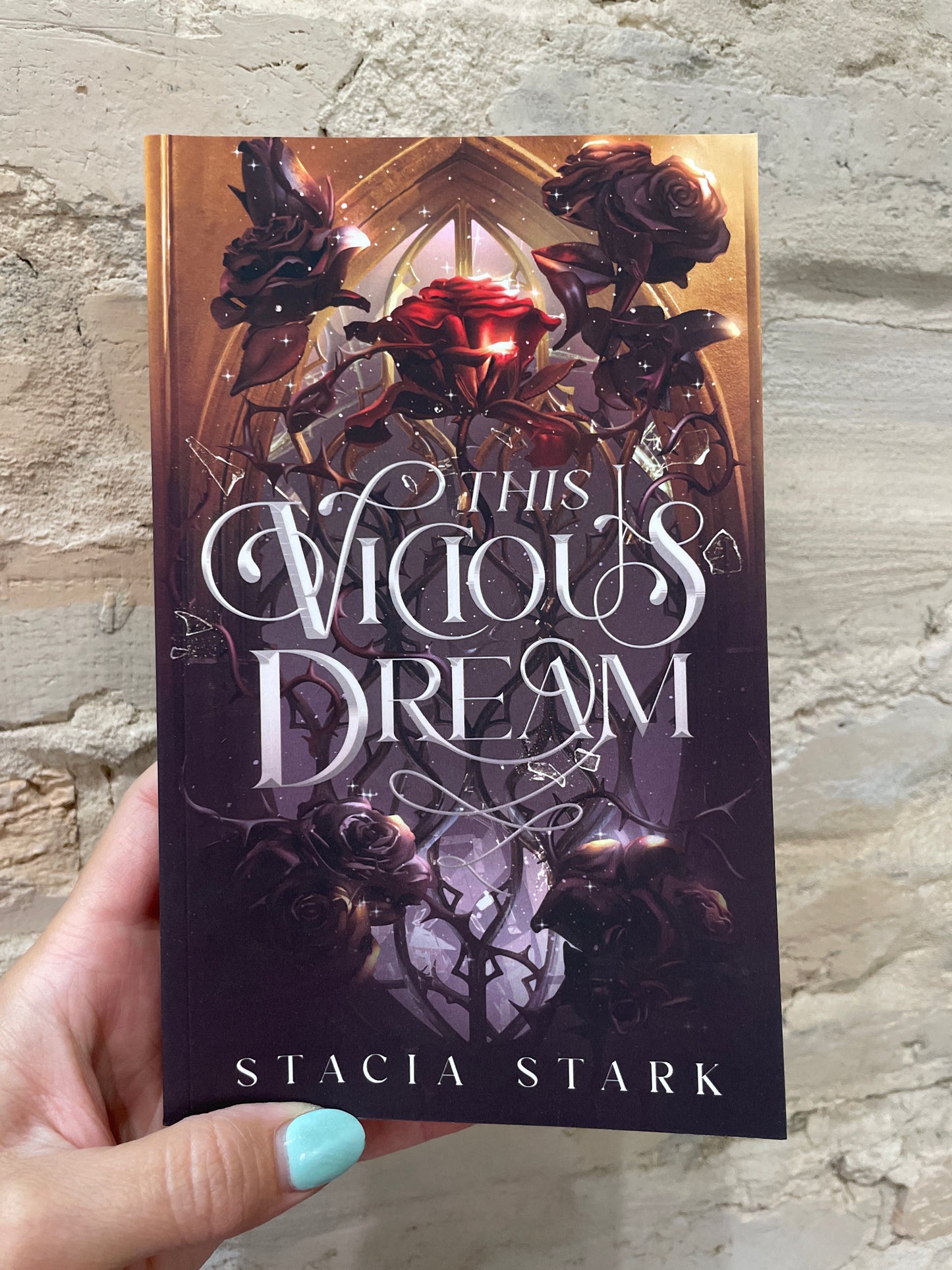 This Vicious Dream by Stacia Stark (Book 1)