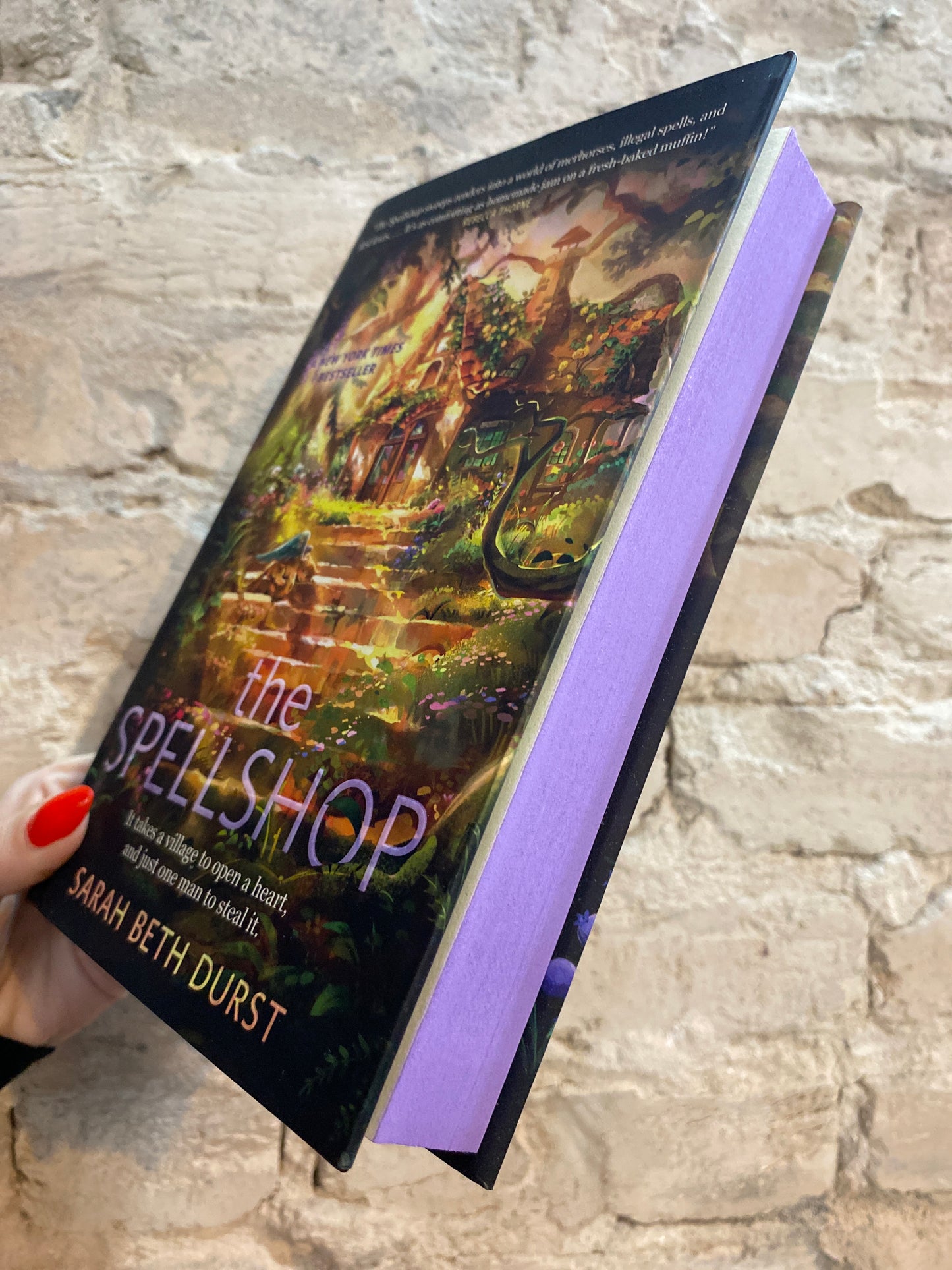 The Spellshop by Sarah Beth Durst (Book 1)
