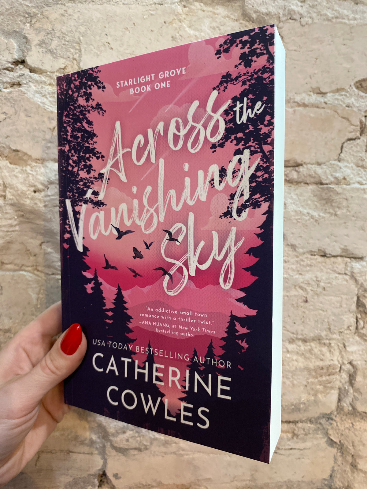 Across The Vanishing Sky by Catherine Cowles