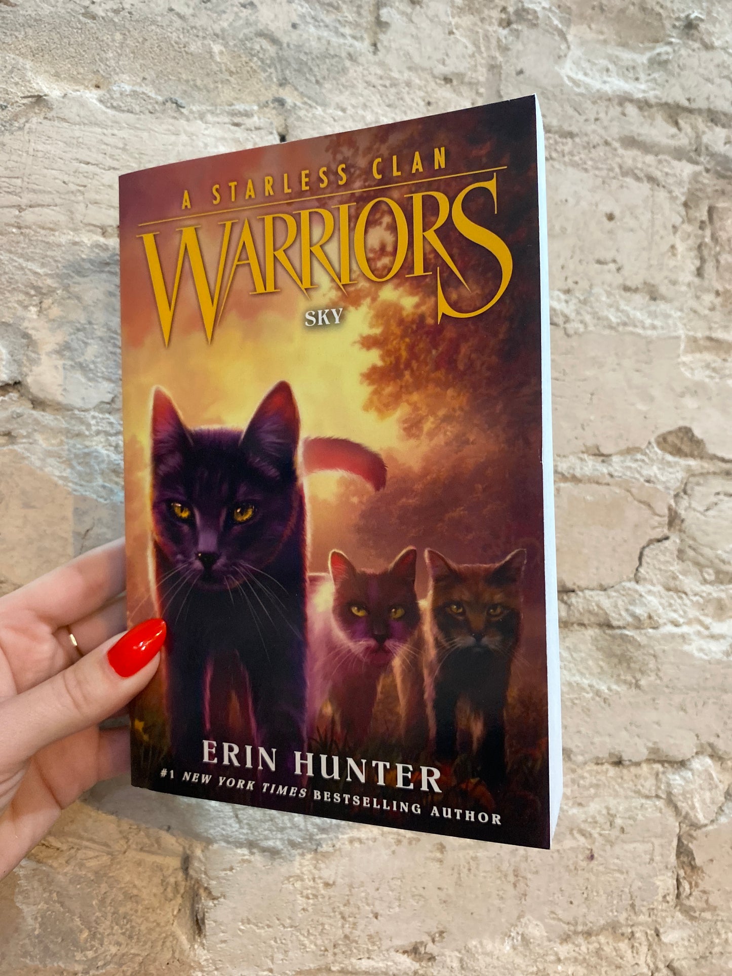 Warriors - A Starless Clan: Sky (Book 2) by Erin Hunter