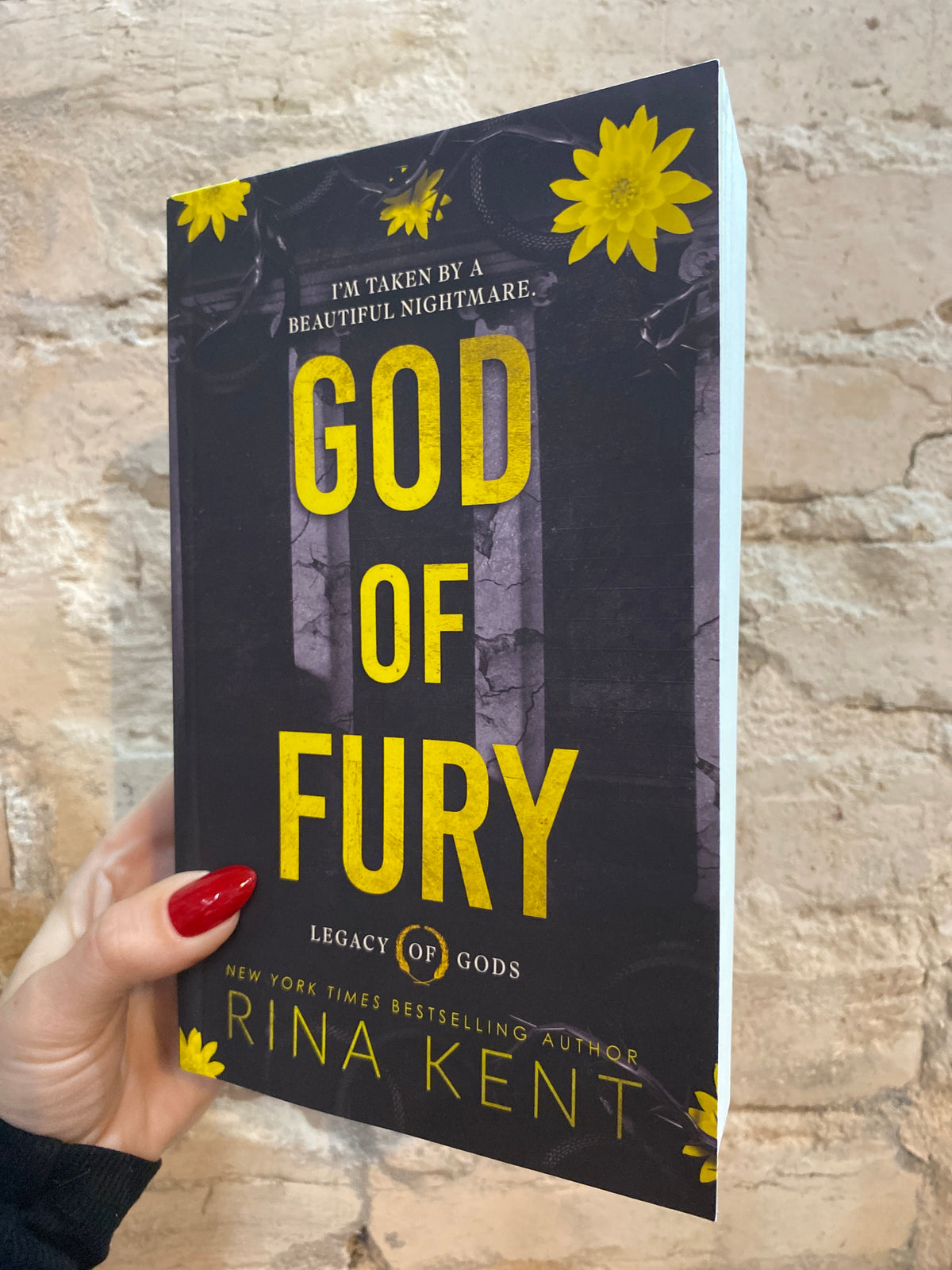 God of Fury by Rina Kent (Book 5)