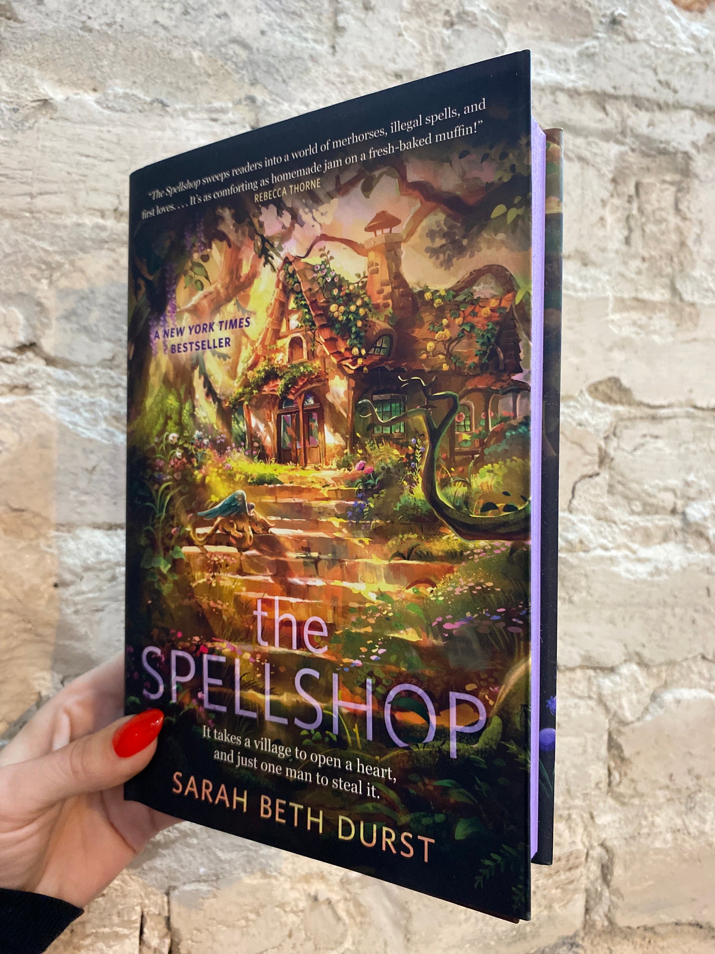 The Spellshop by Sarah Beth Durst (Book 1)