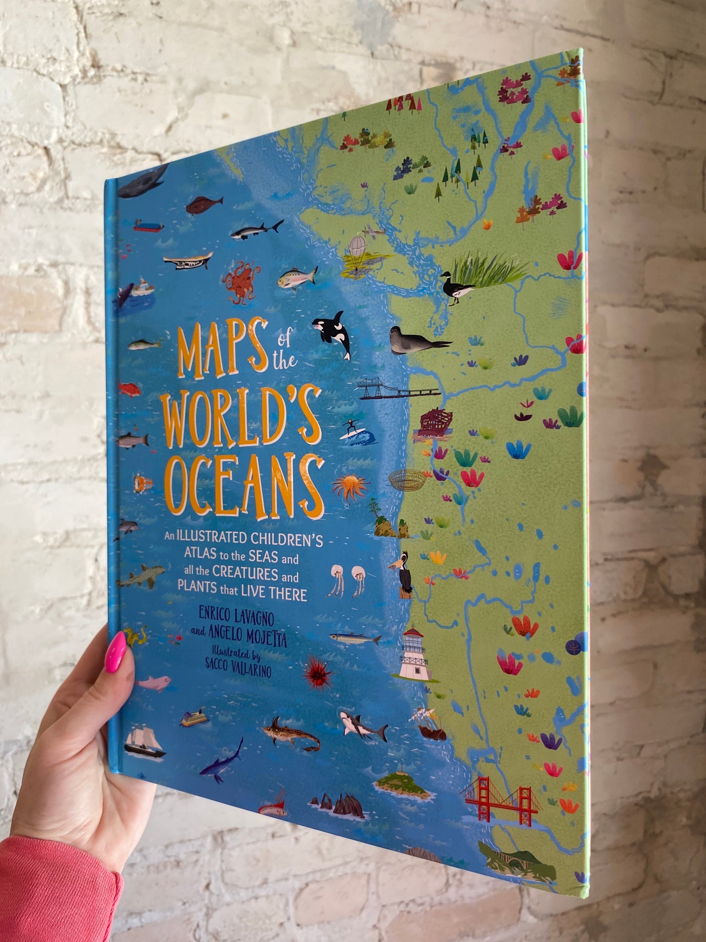 Maps of the World’s Ocean’s