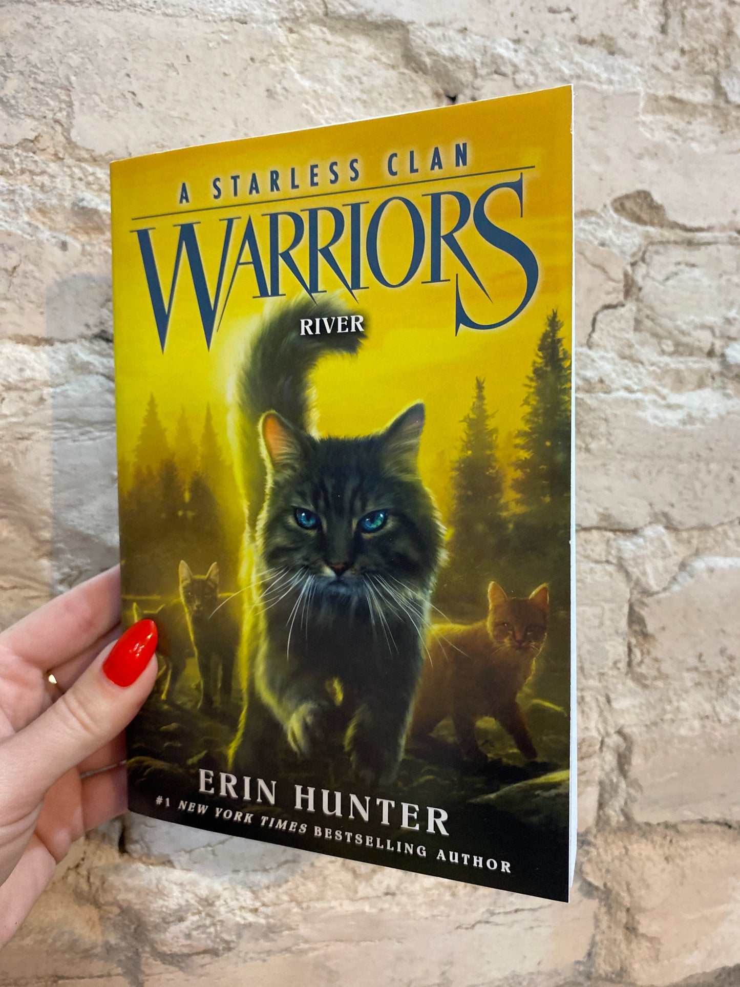 Warriors - A Starless Clan: River (Book 1) by Erin Hunter