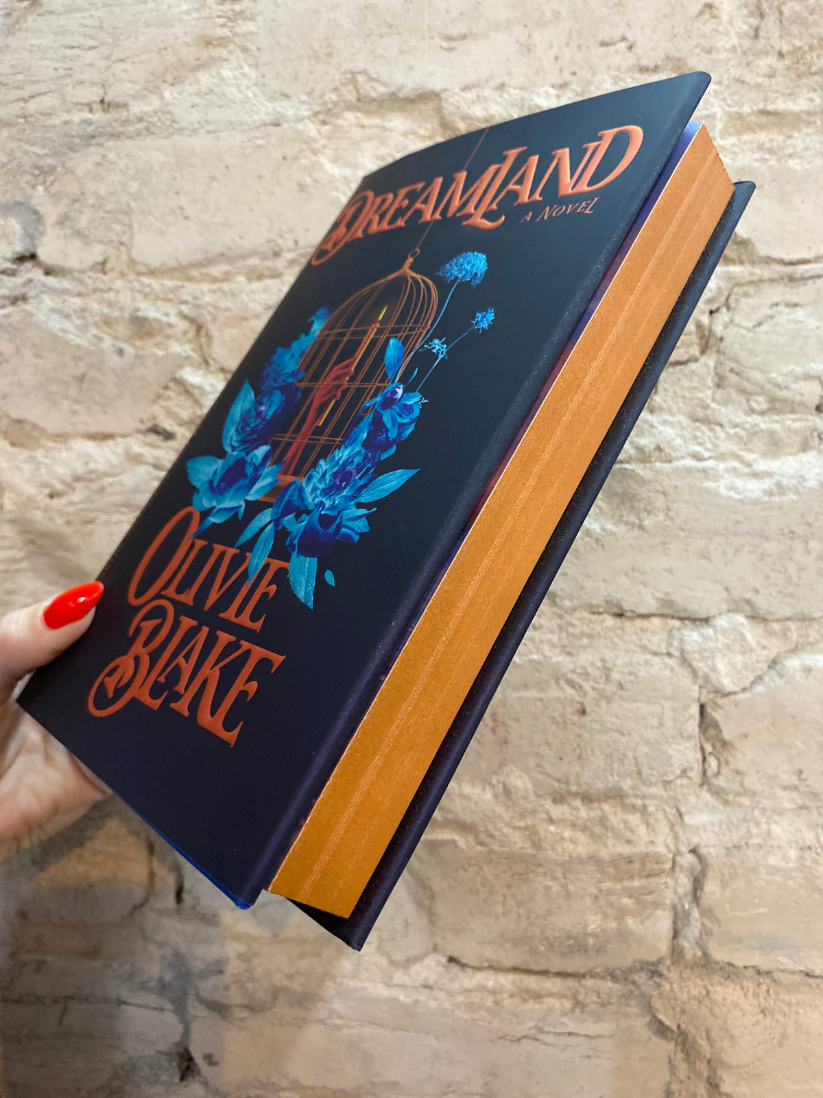 Dreamland by Olivie Blake (Deluxe Edition)