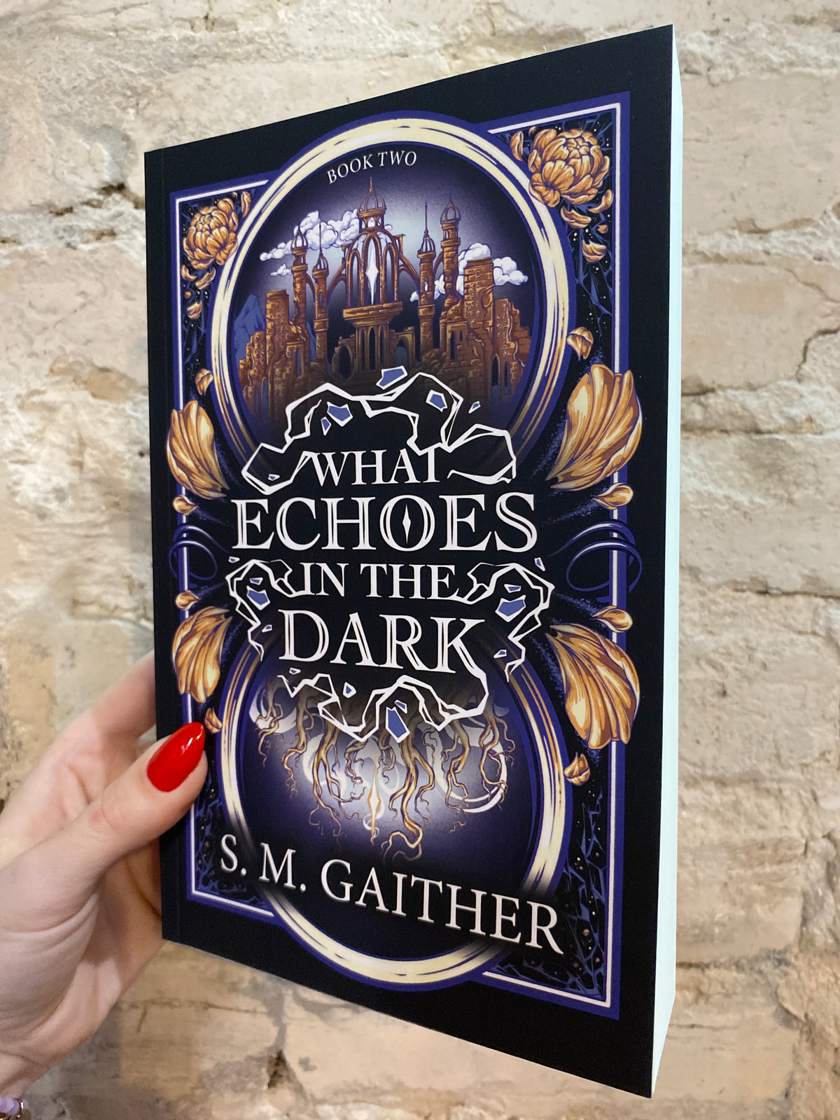 What Echoes in the Dark by S.M. Gaither