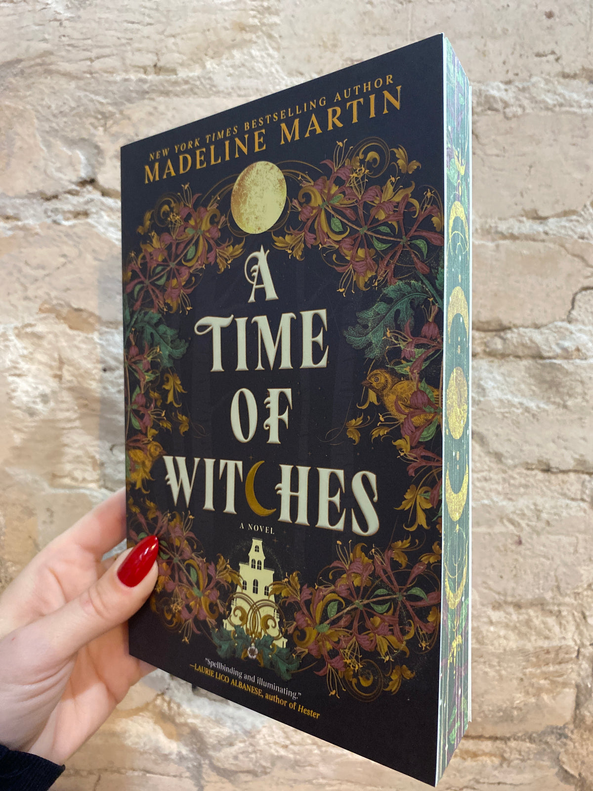 A Time of Witches by Madeline Martin