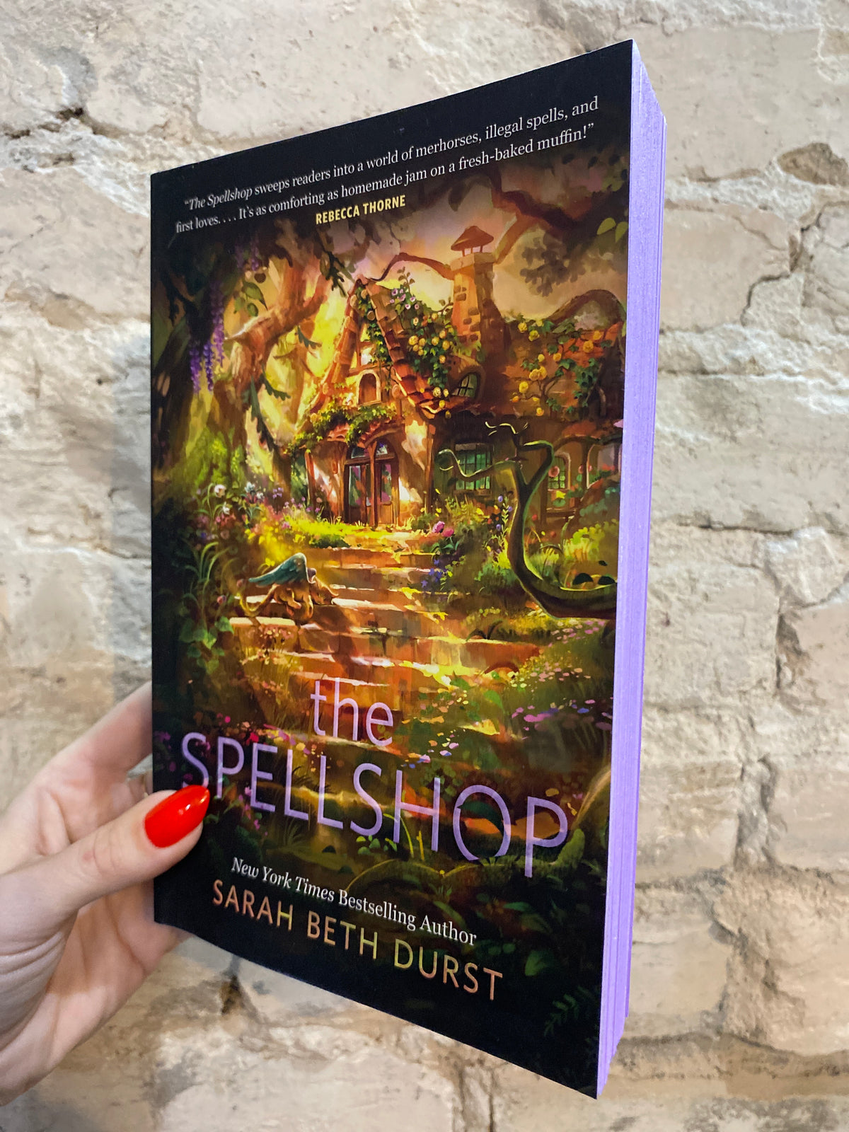 The Spellshop by Sarah Beth Durst (Book 1)