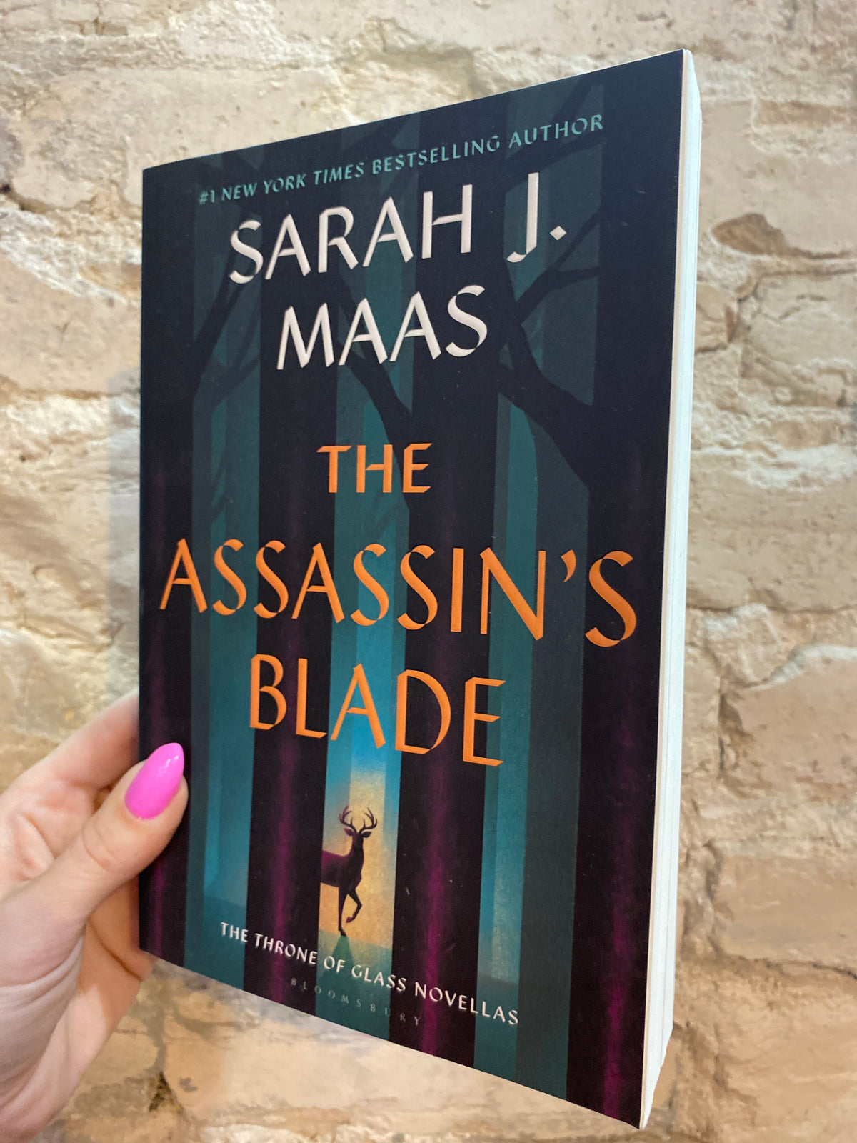 The Assassin’s Blade by Sarah J. Maas (paperback) (Book .5)