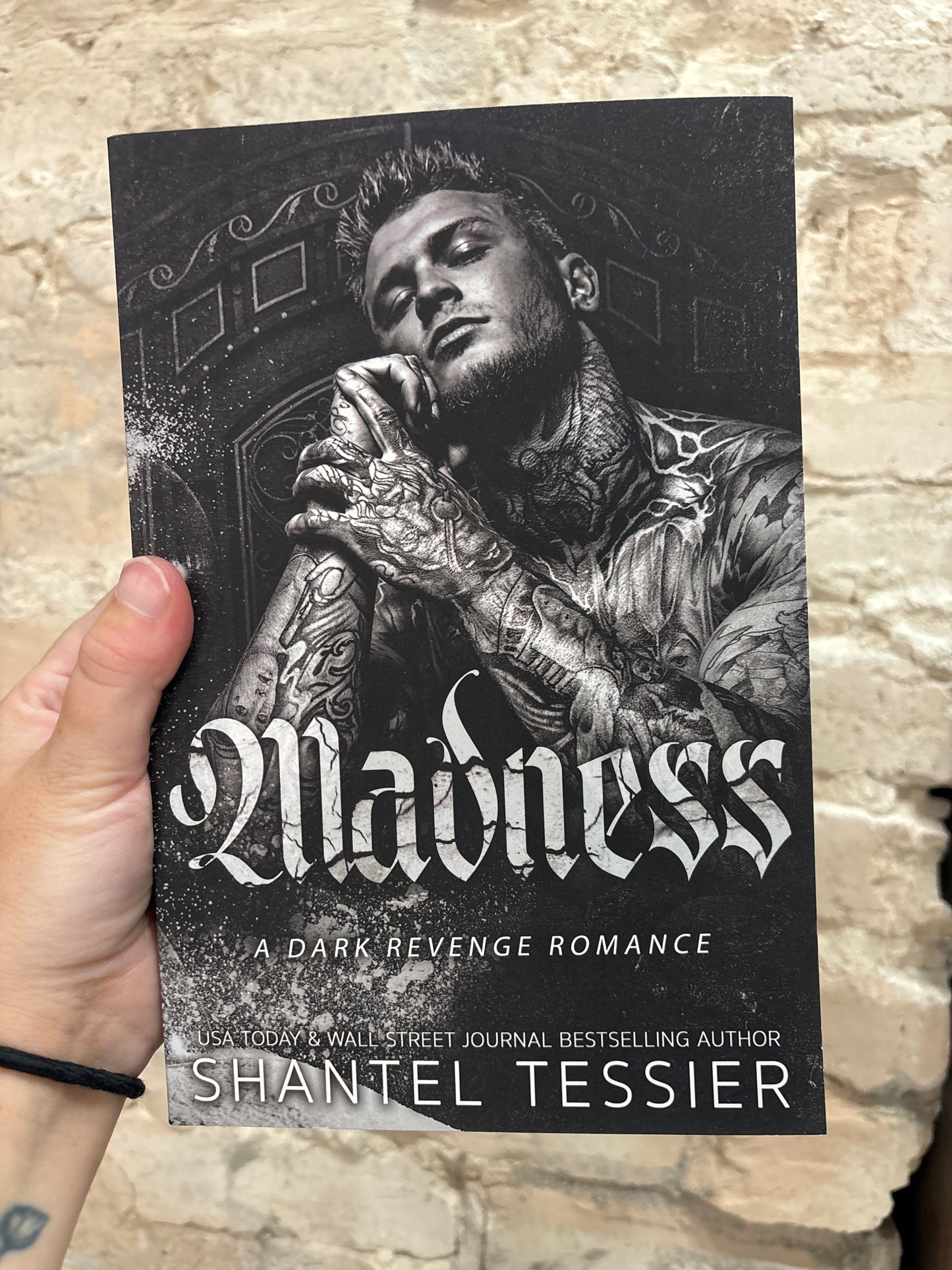 Madness by Shantel Tessier (Book 6)