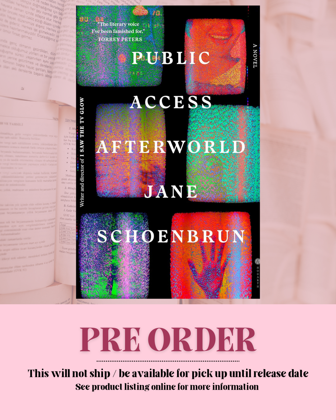 Public Access Afterworld by Jane Schoenbrun *PREORDER*